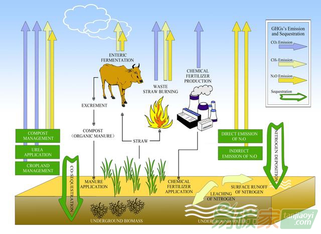 烟台日报电子报刊(图1)