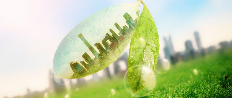 2026新型农业项目商业计划书：科技与生态的“双向奔赴”(图1)