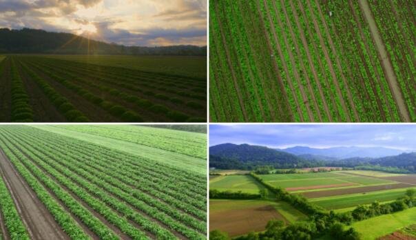 重磅发布！市委关于制定新乡市国民经济和社会发展第十五个五年规划的建议(图1)