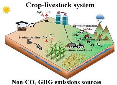 人民日报整版聚焦：坚持“双碳”引领推动全面绿色转型(图1)