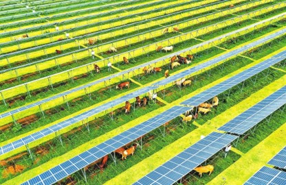 农产品碳足迹量化团体标准发布引领农业绿色转型(图1)