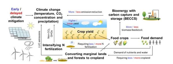 2026中国辣椒行业发展现状与产业链分析(图1)