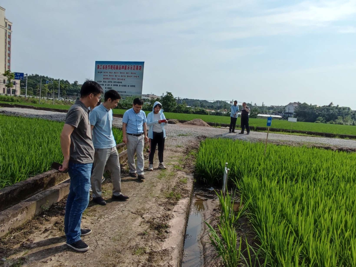 科技赋能“秸”尽其用长三角共探农业绿色低碳发展新路径(图1)