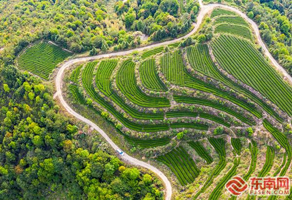 依托AcrelEMS系统推动宁夏综合能源转型落地见效(图1)