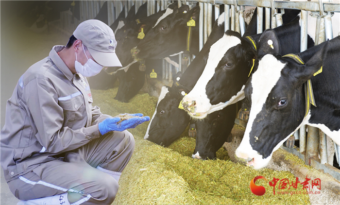 企业碳排放数据质量管理体系构建与核查技术应用。(图1)