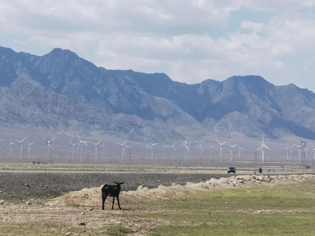 聚焦吕忠梅：从能耗双控到碳排放双控的制度安排(图1)
