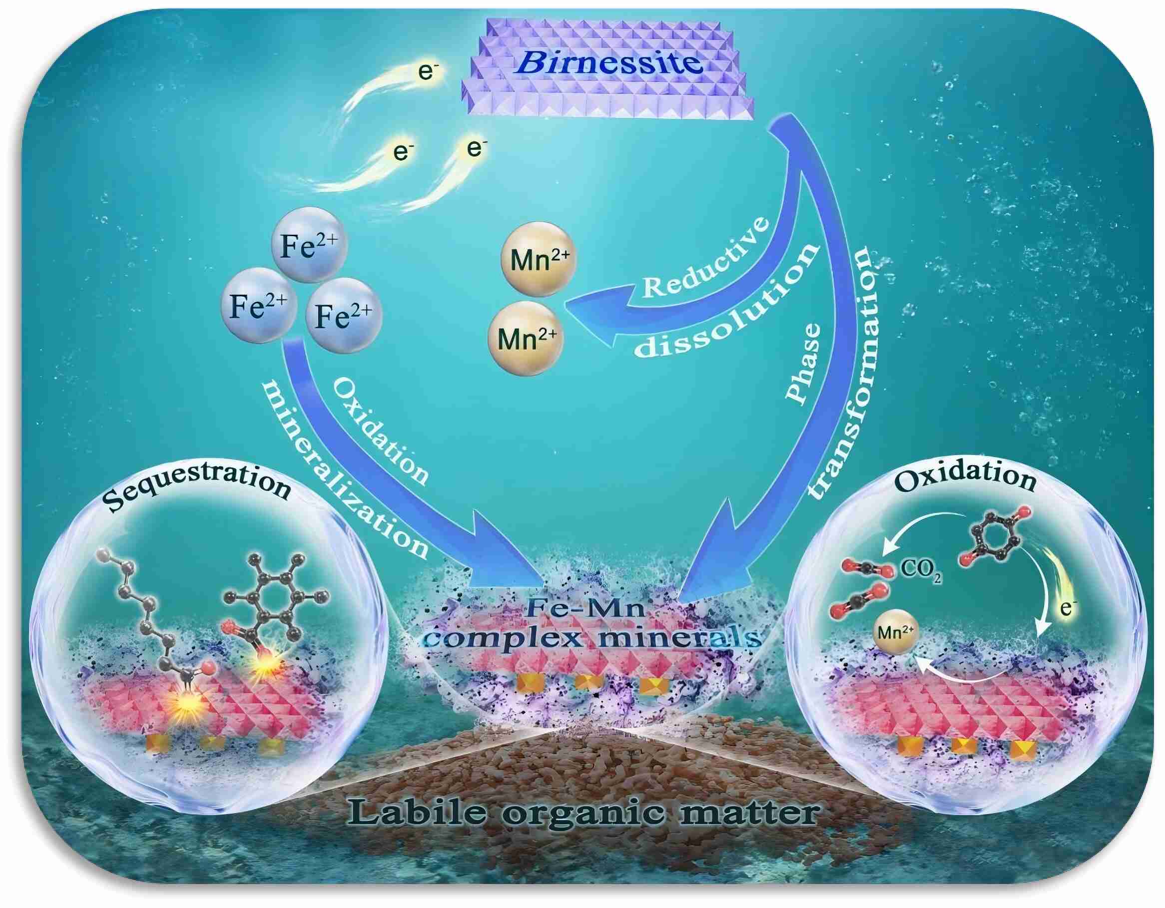 种植业“靠企吃企”全链条犯罪解析与合规警示(图1)