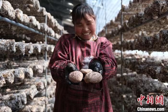 中国最珍贵的资源不是石油不是稀土而是北方最常见的黄土层(图1)