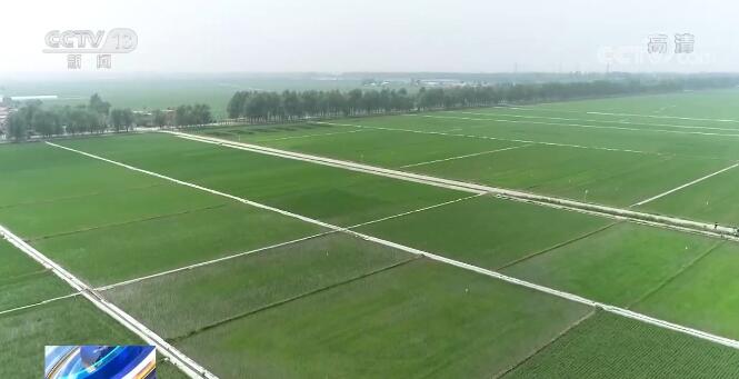 2026年中国现代农业行业发展现状分析与未来趋势展望(图1)