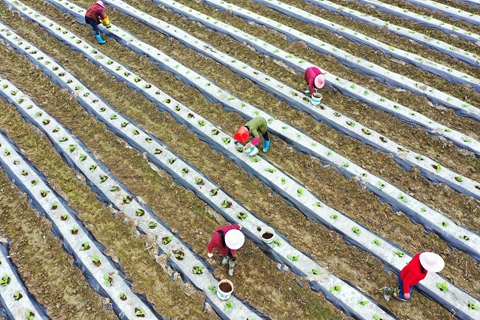 中国“十五五”气候信号:在全球能源震荡中为绿色转型提供确定性(图1)