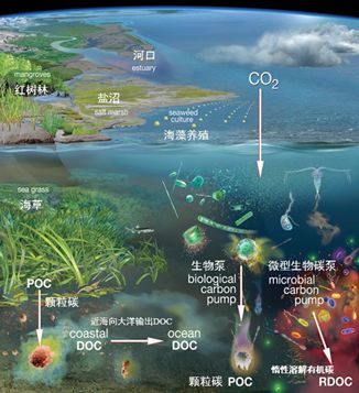 五项机制让农民端稳“生态饭碗”(图1)
