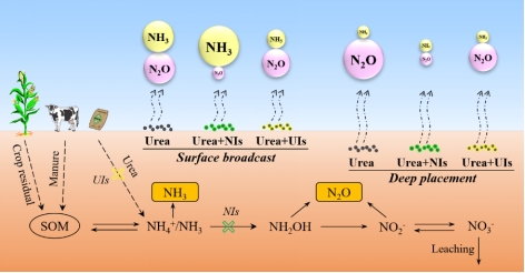 到二〇三五年美丽中国目标基本实现(图1)