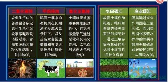 让更多创新从“泥土”里生长出来(图1)