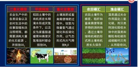 农业AI大模型在农业绿色低碳发展与碳中和中的应用(图1)