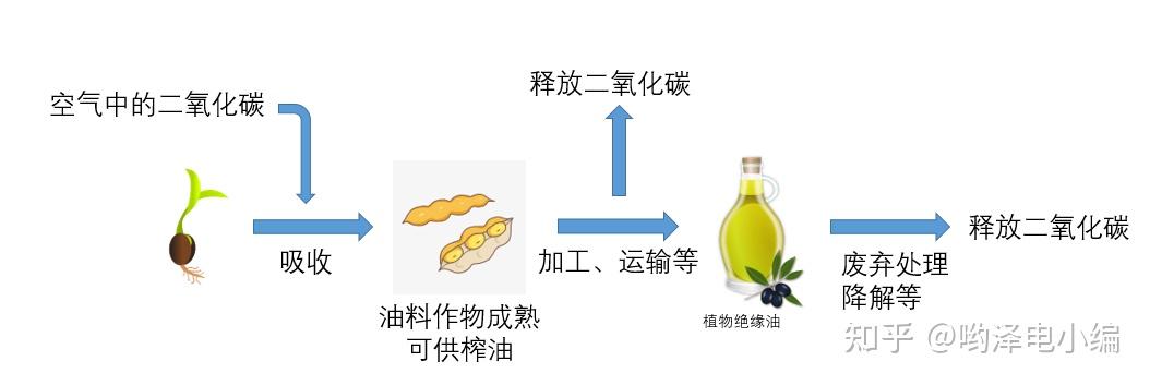 农业碳排放与气候变化治理报告pptx(图1)