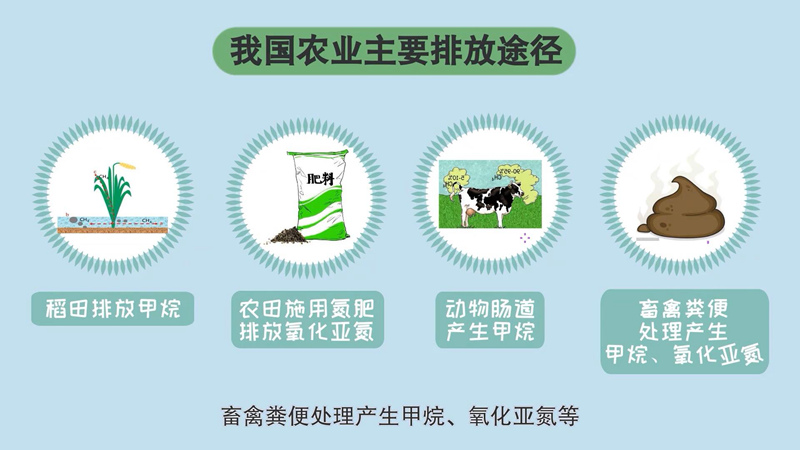 我国自主知识产权低碳修复技术获国际发明展金奖(图1)