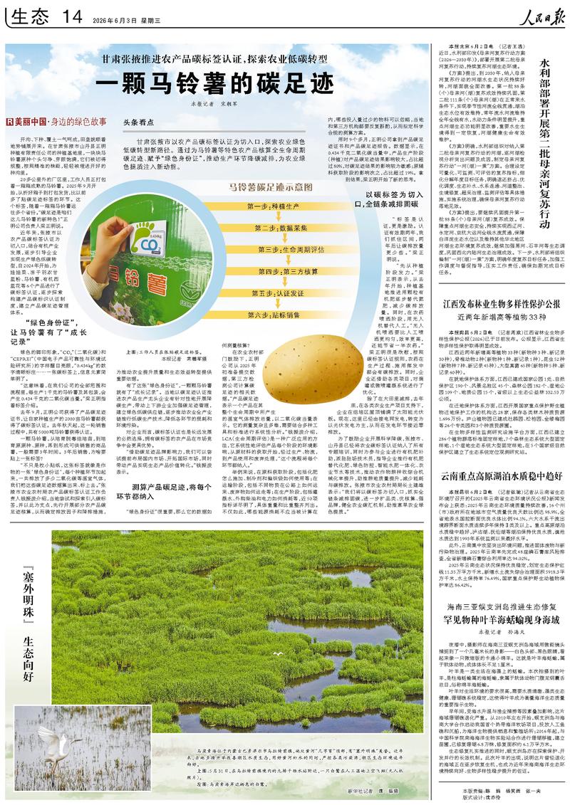9大行业减碳路线图划定万亿绿色投资窗口开启(图1)