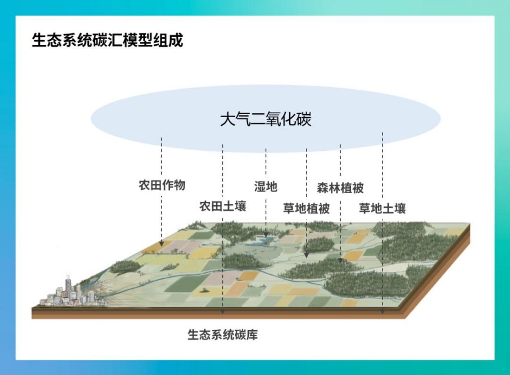 中外合作+校企订单+校际协同！长江大学联合培养多元布局(图1)