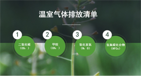 2026中央一号文件解读:化肥减量增效背后的百亿商机!(图1)