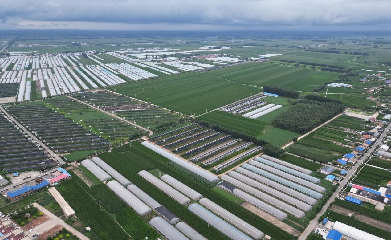 加快能源结构调整优化推进产业绿色化低碳化碳达峰未来五年“路线图”出炉(图1)
