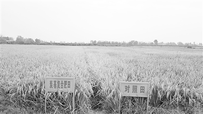 河南首个湿地“国字号”监测站揭牌(图1)