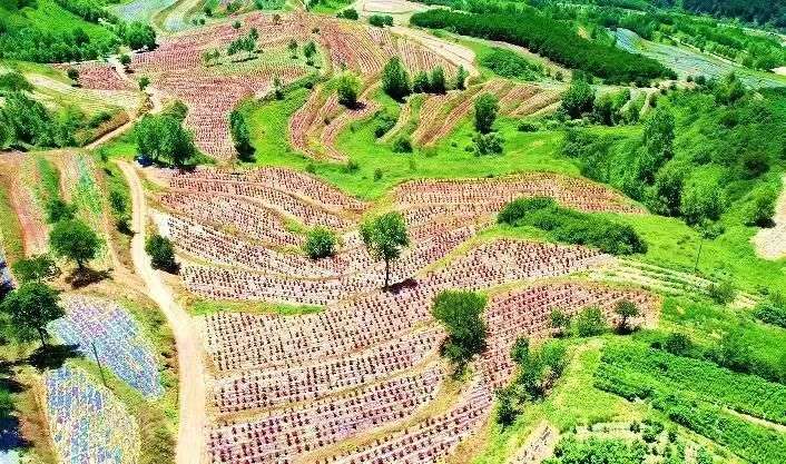 长三角地区隐性土地利用功能的耦合协调演化及其对碳排放的动态影响(图1)