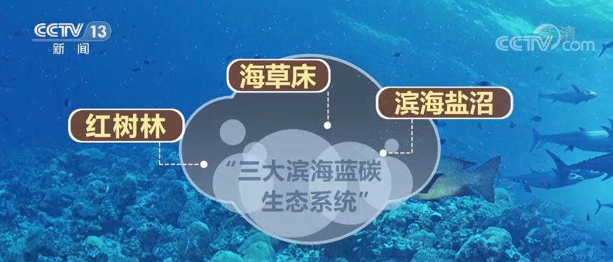 GSK投资印度再生农业碳信用覆盖5万公顷农田(图1)