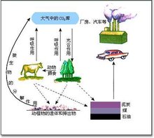 关于印发《重庆市“碳惠通”温室气体自愿减排方法学编制指南》《重庆市“碳惠通”温室气体自愿减排项目及核证量申报指南(图1)