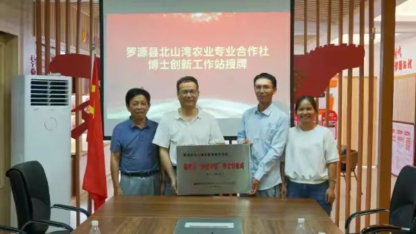 绿色金融迎智变AI耗能求“绿”解(图1)