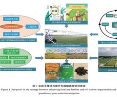 着力提升大湾区碳交易市场全球影响力(图1)
